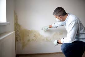 Best Mold Documentation for Insurance Claims in Stroudsburg, PA